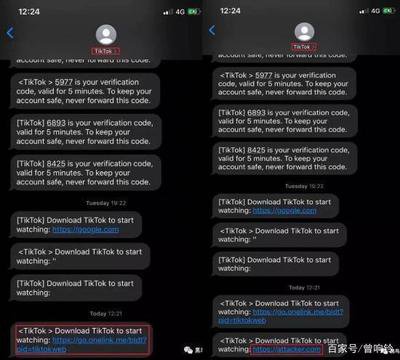 TikTok网页版免登录入口在哪