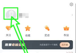 雨果跨境app如何开通白金会员