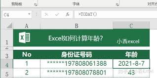 Excel如何精确计算到月的年龄