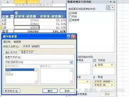 如何设置excel数据透视表值显示为百分比