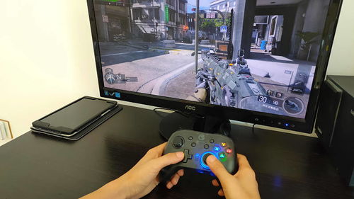 盖世小鸡模拟器如何玩PC游戏