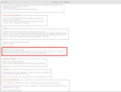 如何进行openclaw配置