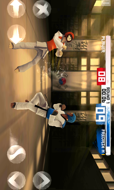 跆拳道大奖赛免广告版