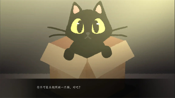 别带这只猫回家官方版