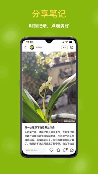 中国兰花交易网安卓版