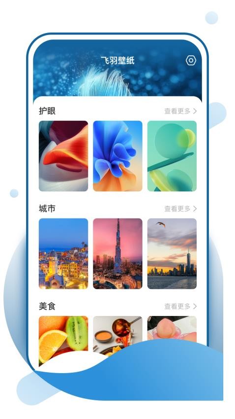 飞羽壁纸安卓正版