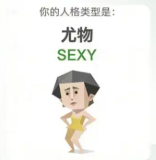 sbti人格测试定制版