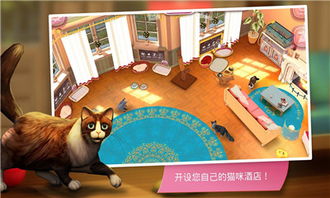 灵猫传如何获取猫爪玉