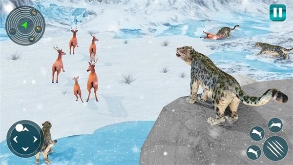 野生雪豹模拟器测试版
