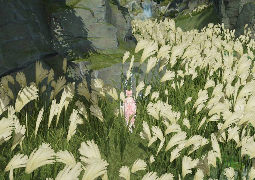 王者荣耀s43如何种菜