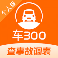车300二手车官方正版