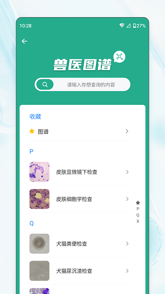 宠壹堂官网版