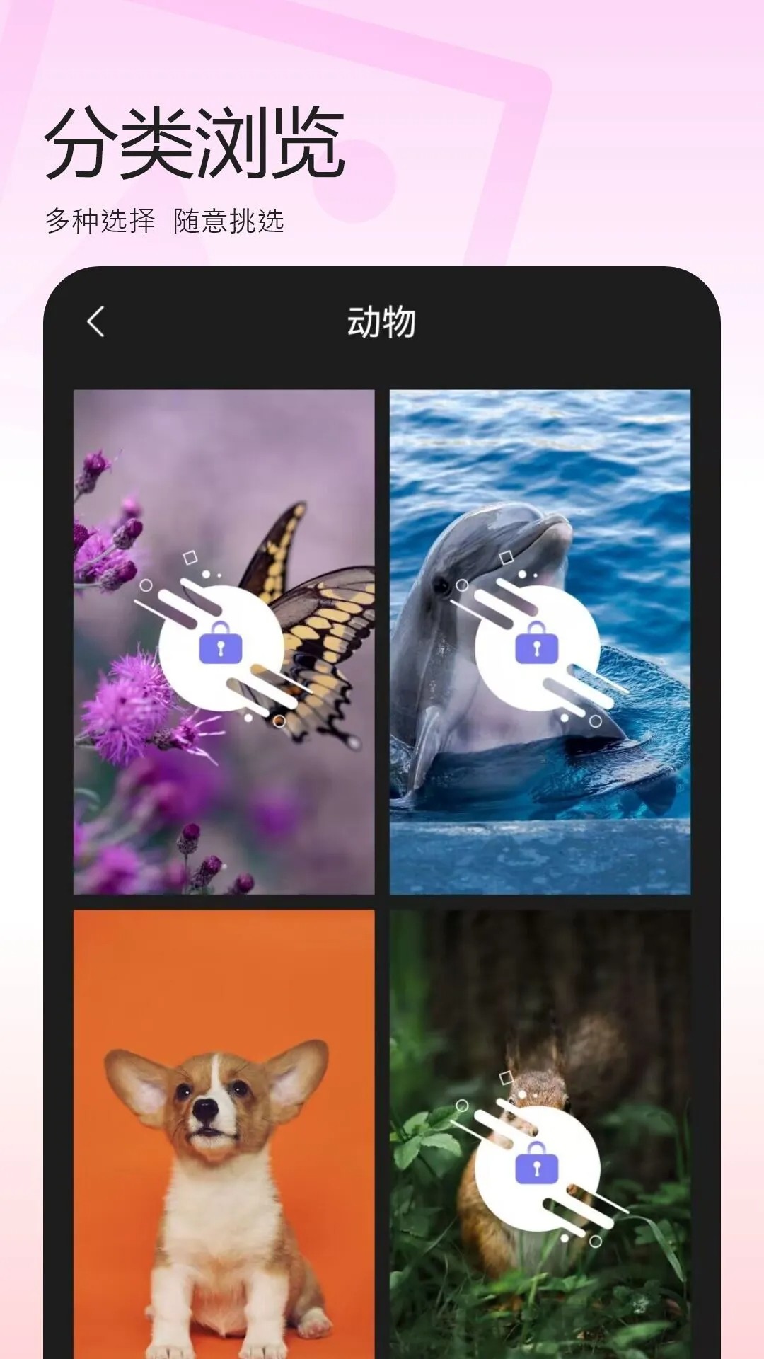 百变换壁纸会员免登录