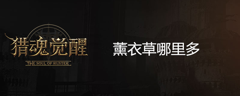 猎魂觉醒薰衣草在什么地方？薰衣草地点分享