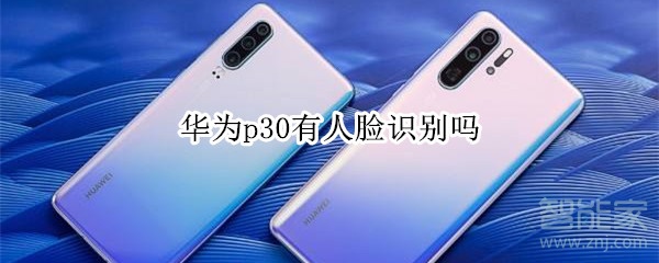 华为p30有人脸识别吗_支持人脸解锁吗