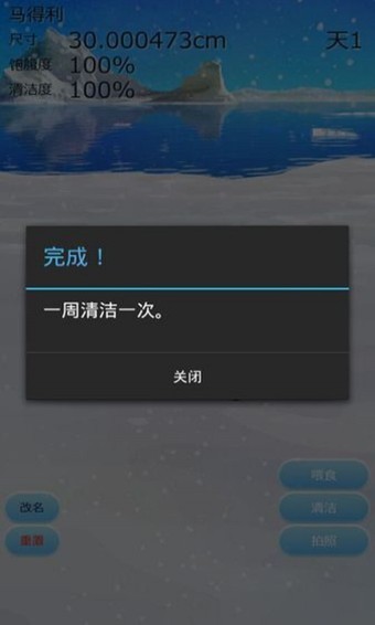 治愈的企鹅育成游戏