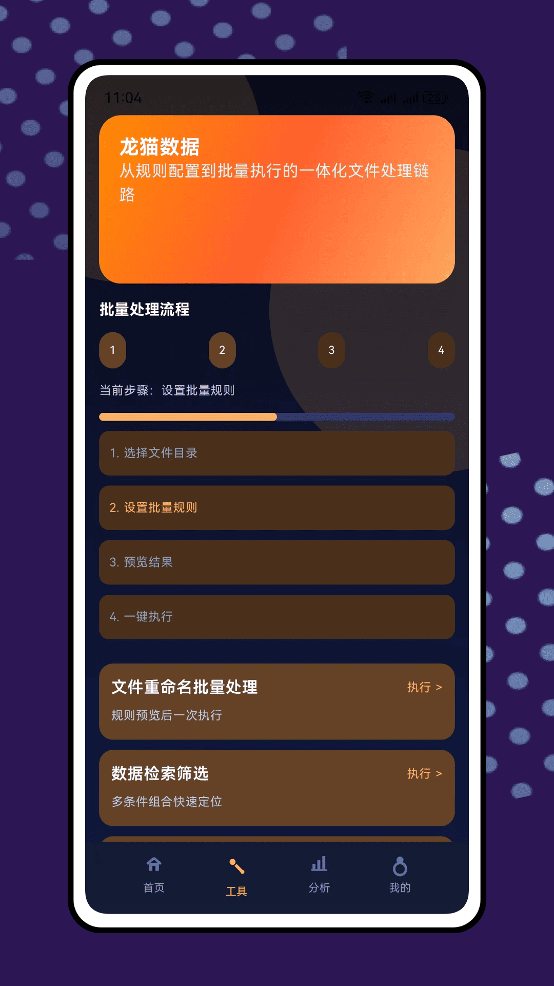 龙猫数据正式版