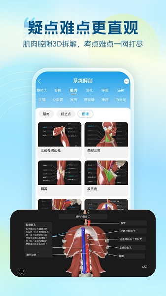 维萨里3D解剖安卓版