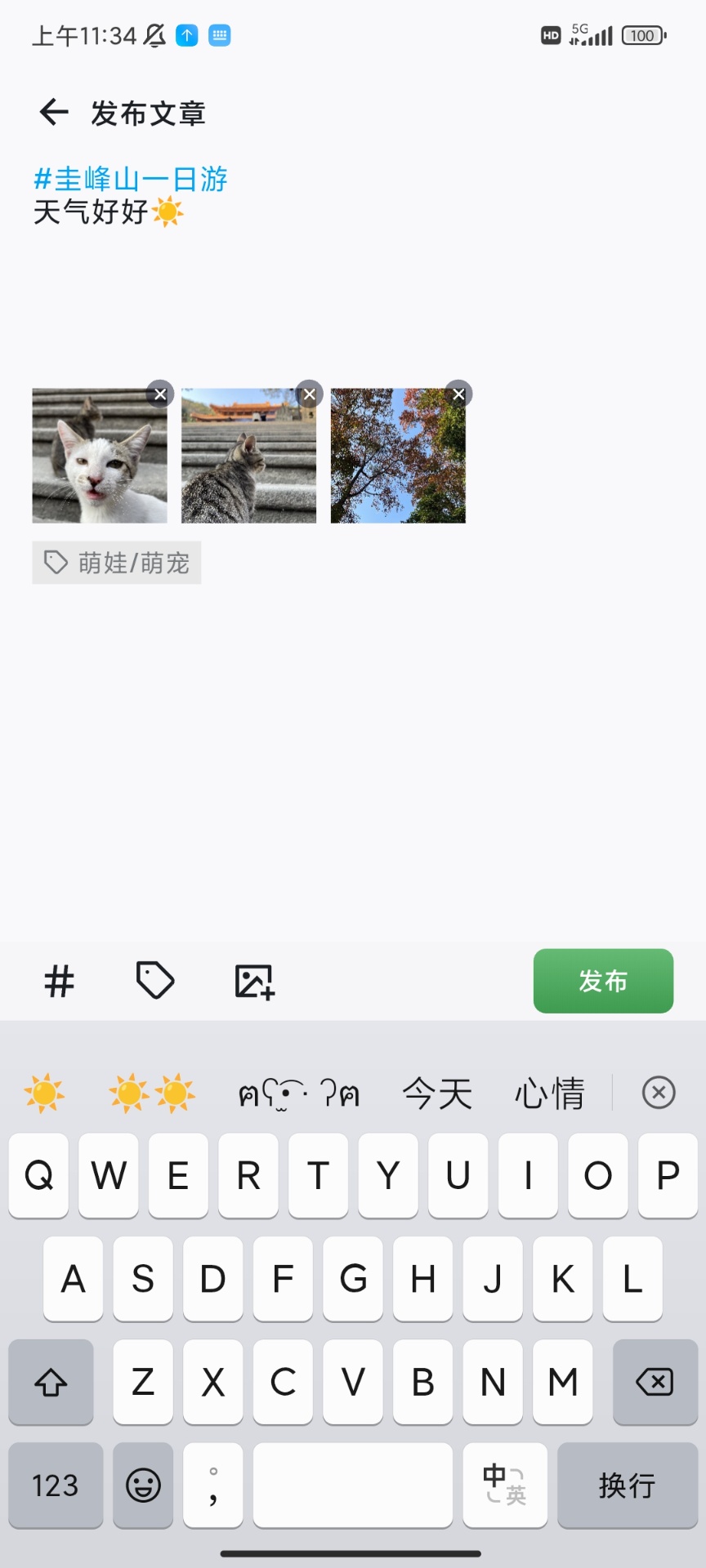 新地NewLand全新版本