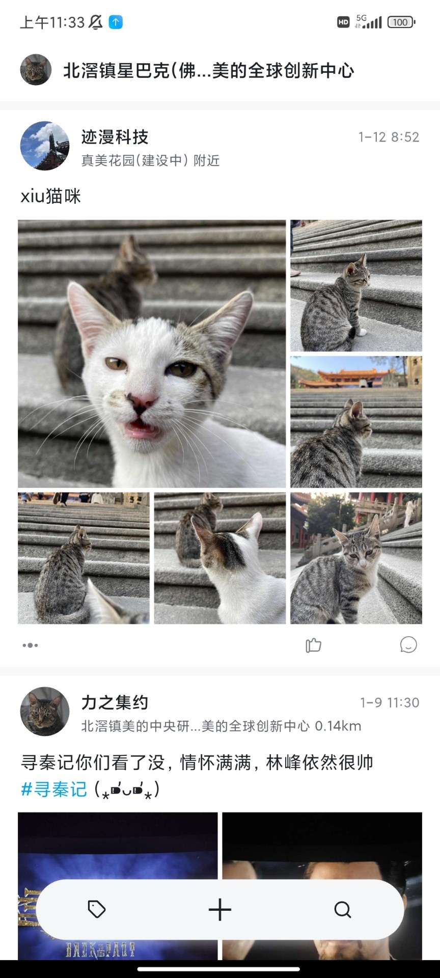 新地NewLand会员免登录