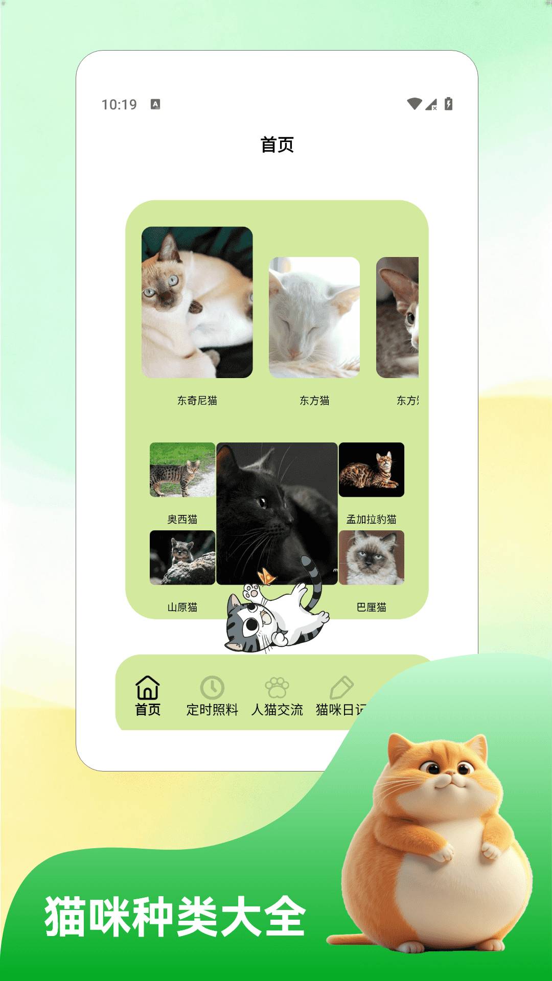 我和猫猫全新版本