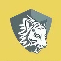 豹影视定制版