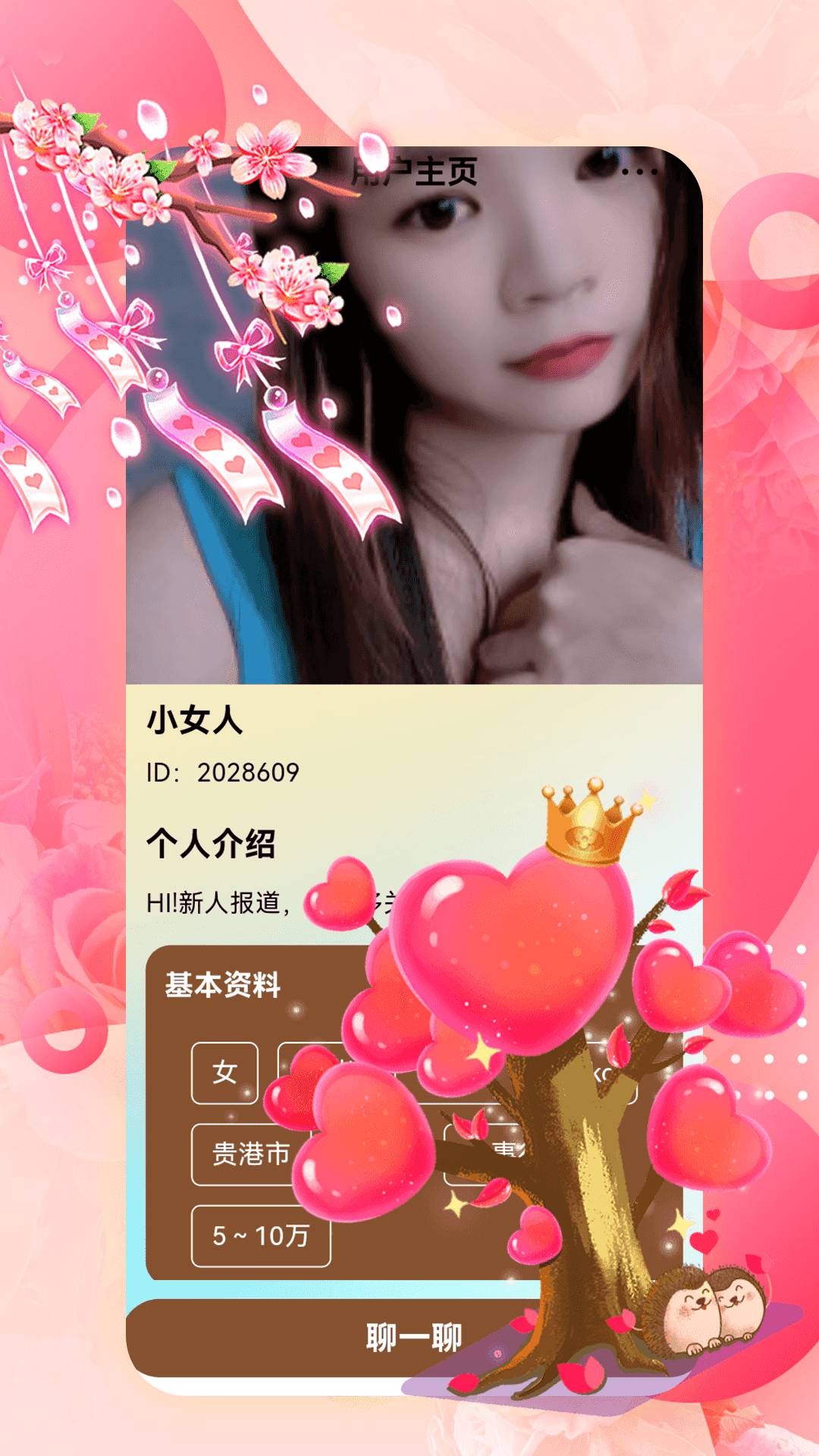 单身私聊会员免登录