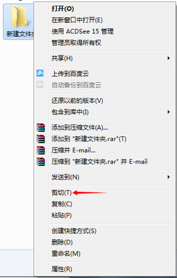 ACDsee如何使用复制功能
