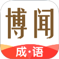 博闻成语自定义版