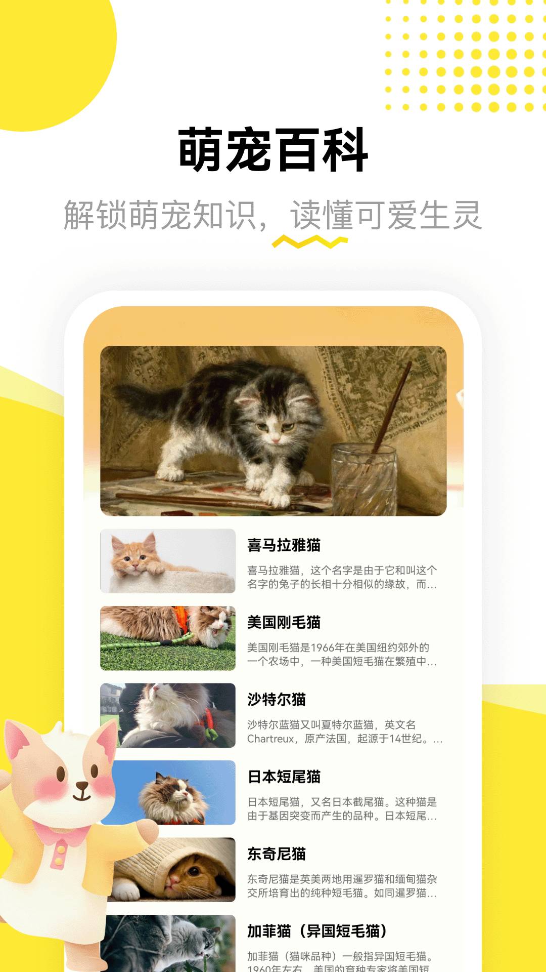 龙猫日记安卓版