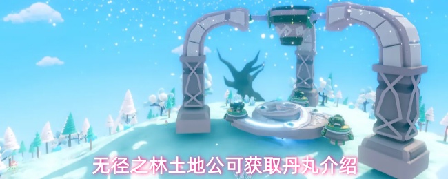 无径之林土地公可获取丹丸介绍
