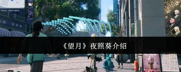 《望月》夜照葵介绍