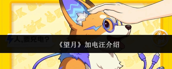 《望月》加电汪介绍