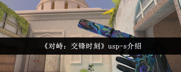 《对峙：交锋时刻》usp-s介绍