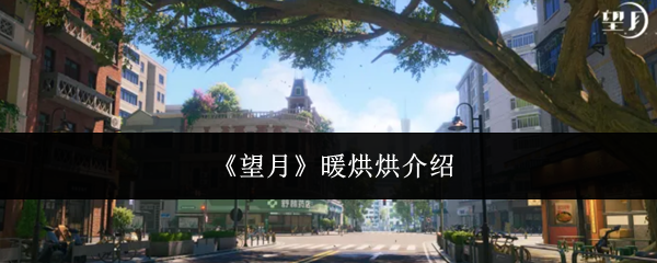 《望月》暖烘烘介绍
