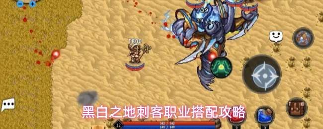 黑白之地刺客职业搭配攻略