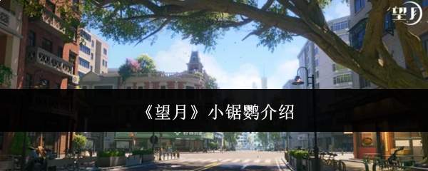 《望月》小锯鹦介绍