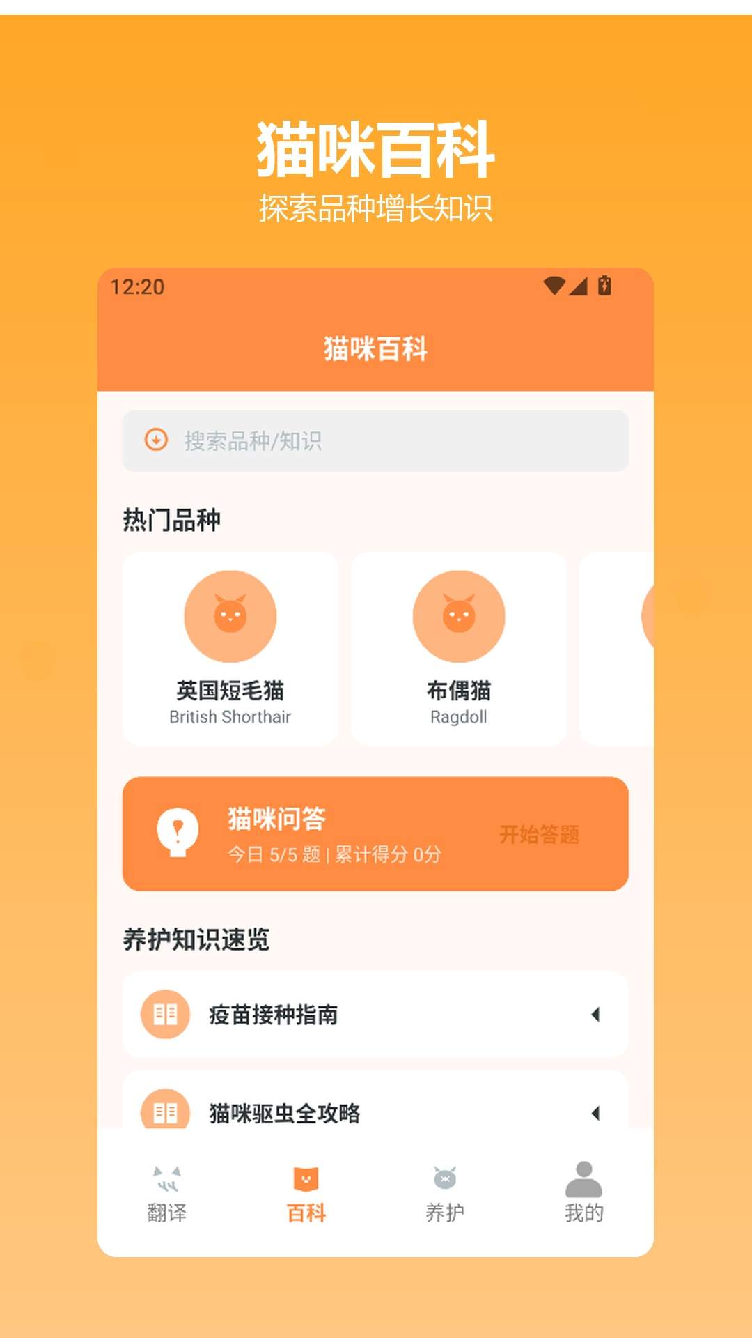 快乐小猫全新版本