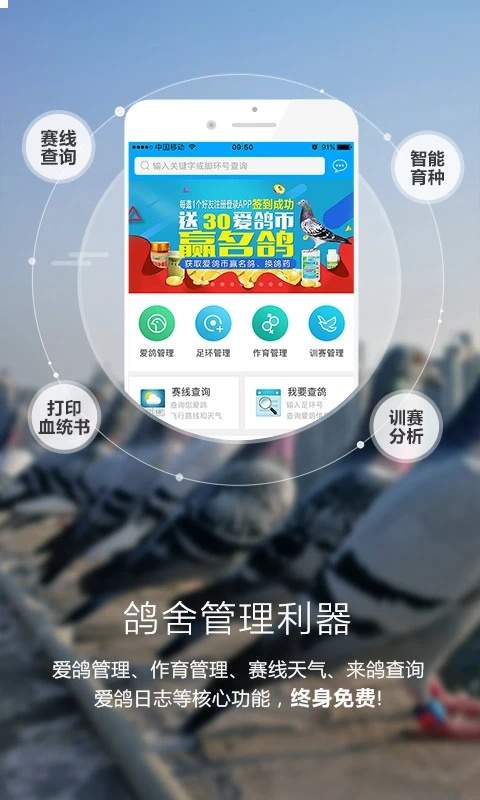 爱鸽者手机版