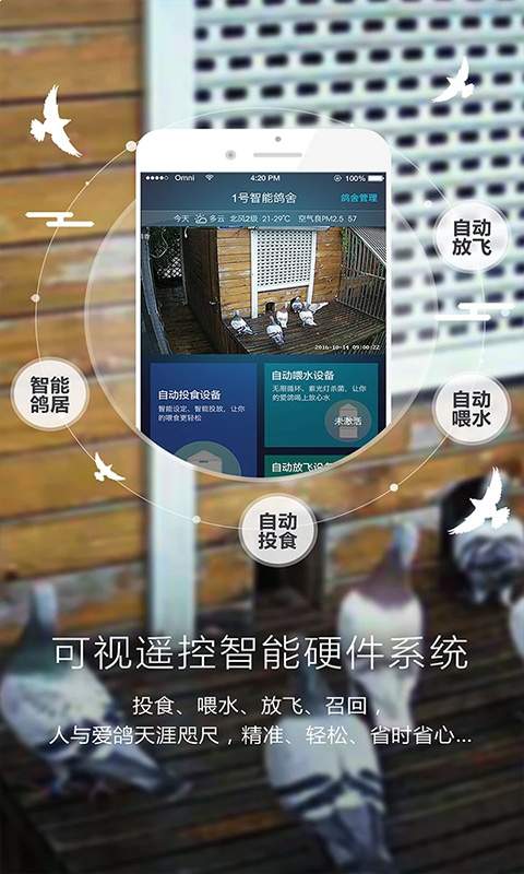 爱鸽者会员免登录