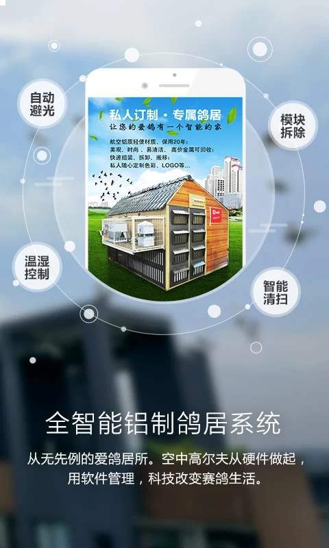 爱鸽者老版本