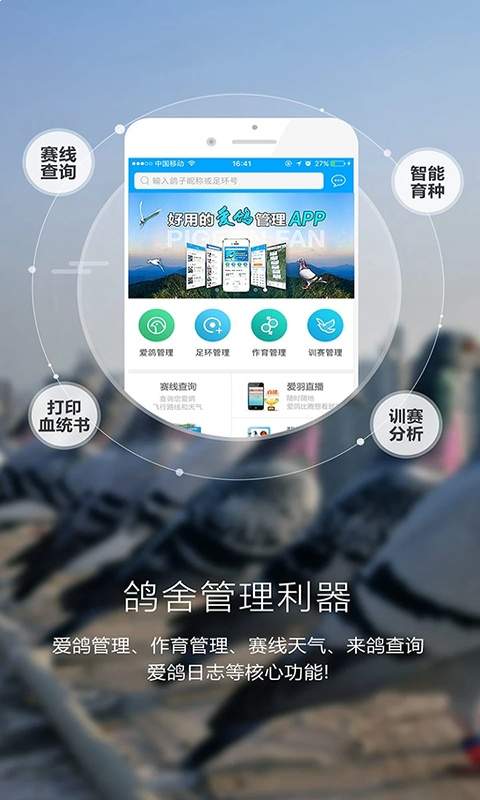 爱鸽者安卓正版