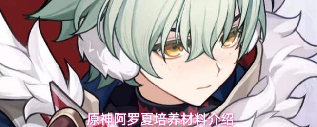 原神阿罗夏培养材料介绍