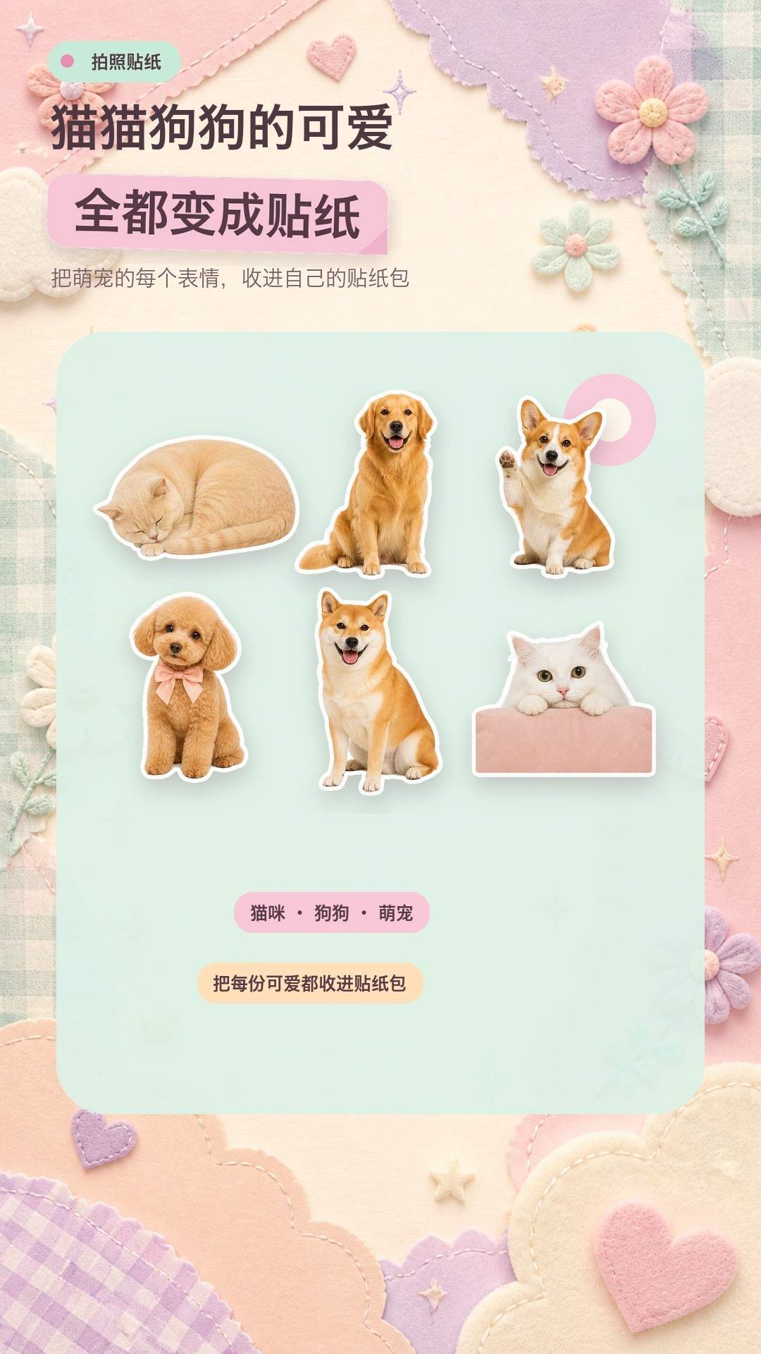 拍照贴纸相机安卓版