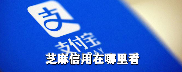 芝麻信用分在哪查看？芝麻信用分查看流程图文详解