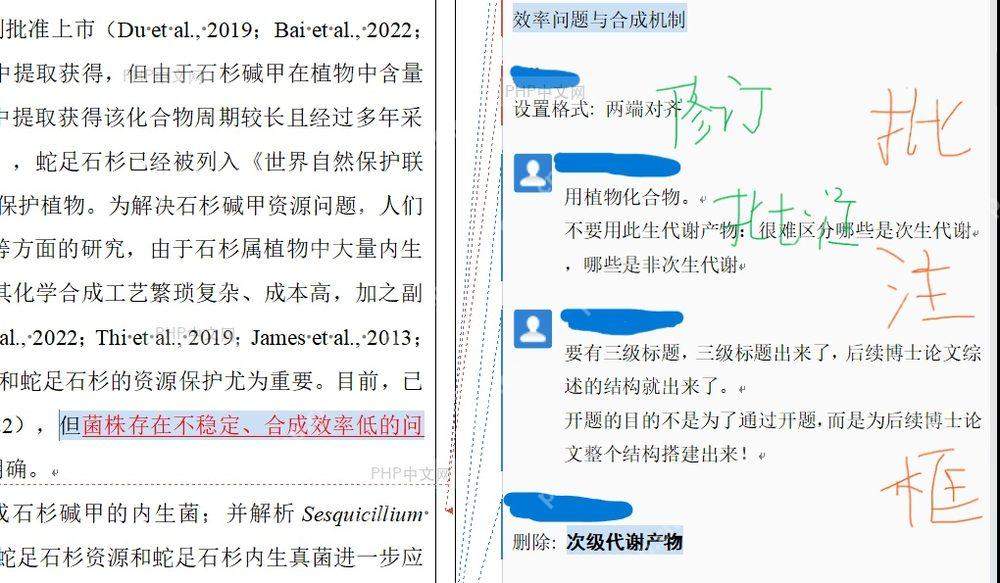Word审阅选项卡中点击审阅窗格按钮