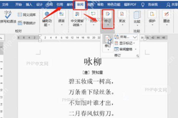 审阅窗格选项中勾选显示修订者姓名和时间