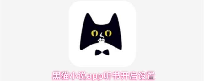 黑猫小说app听书开启设置