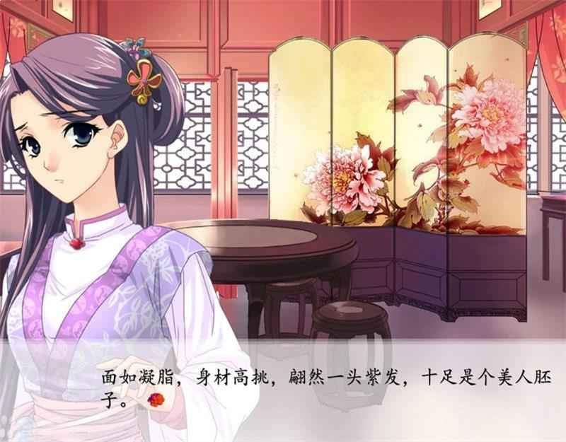 红楼梦：林黛玉与北静王离线版