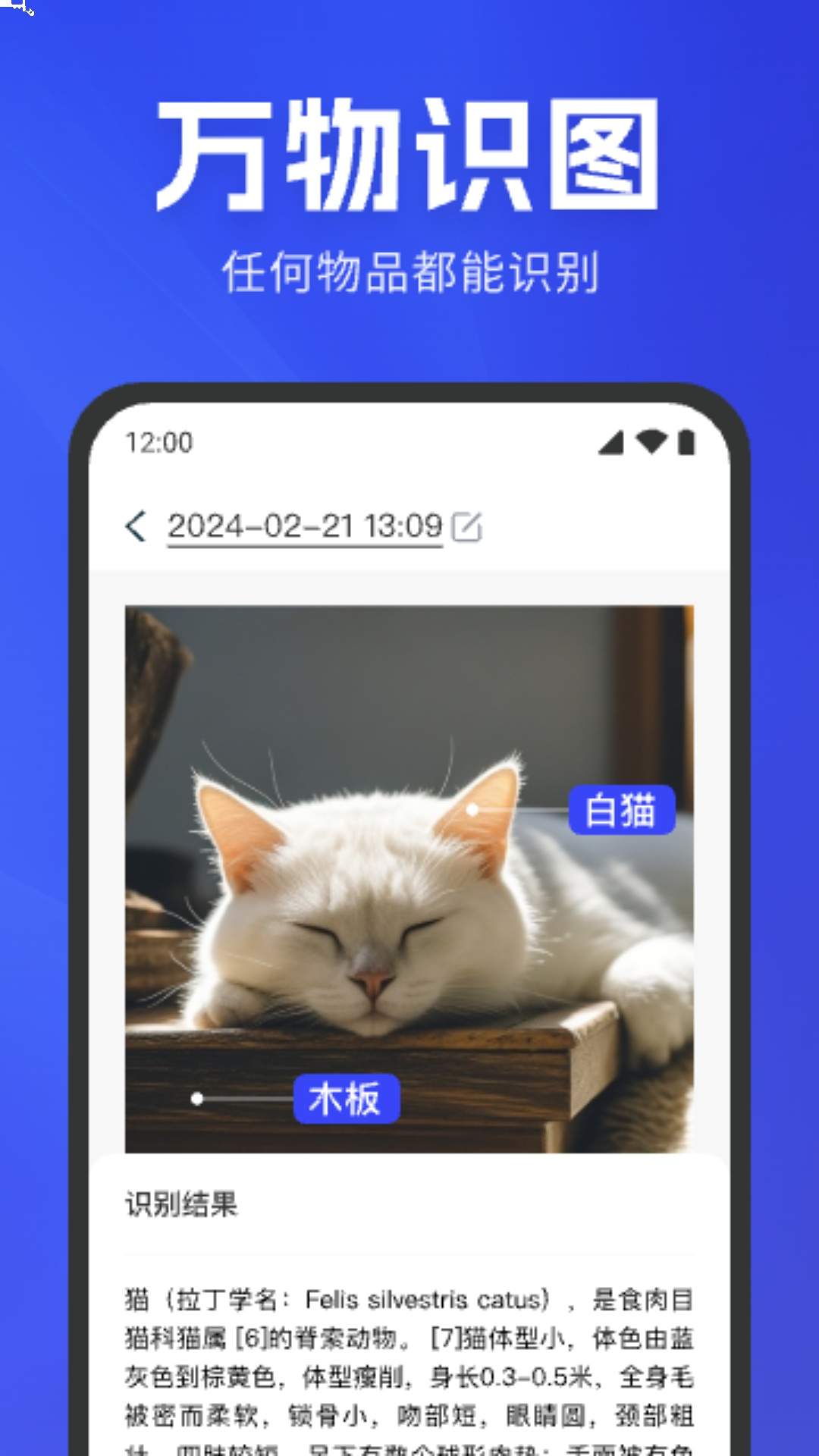 极速扫描官官方正版
